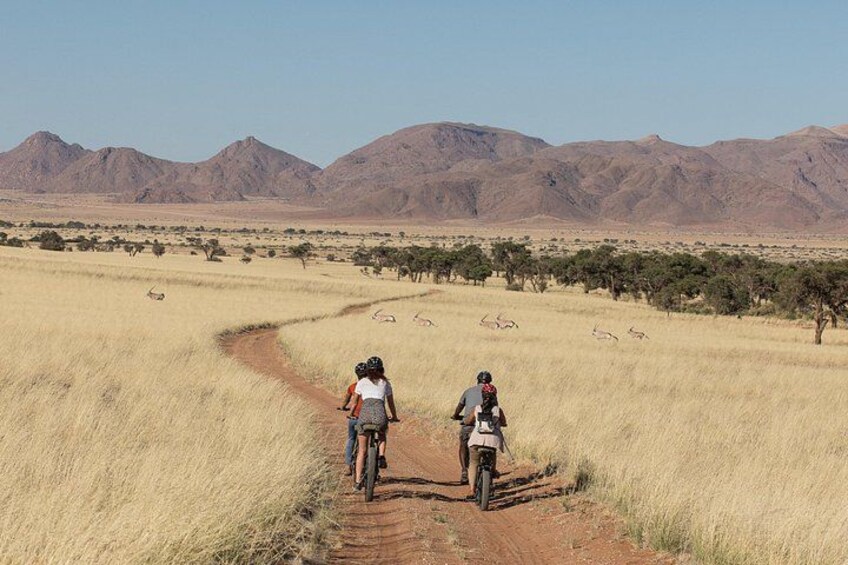 Namib Desert Bike Riding 4