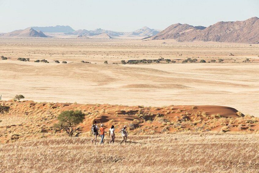 Namib Desert Walk 3