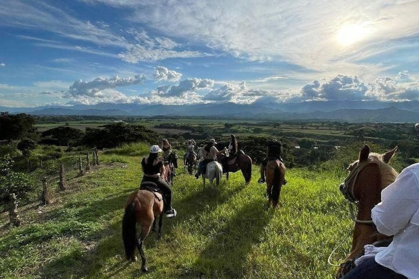PRIVATE Tour of the Café and Ride in Pereira 5