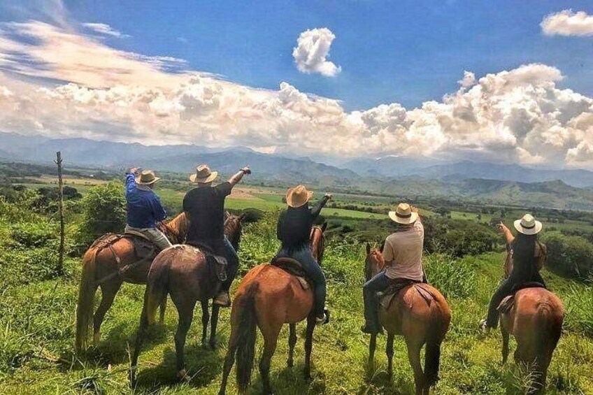 PRIVATE Tour of the Café and Ride in Pereira 4