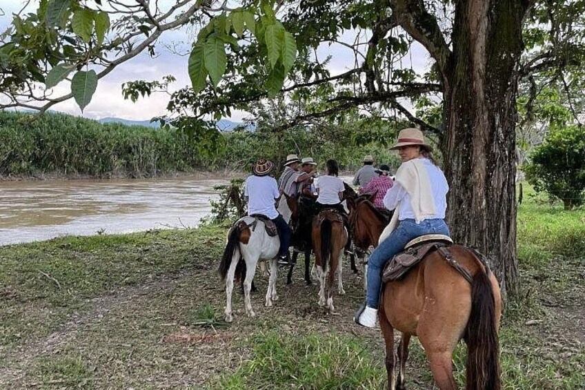 PRIVATE Tour of the Café and Ride in Pereira 2