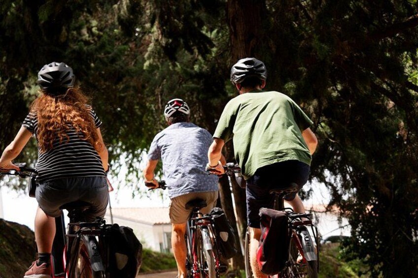Full Day Self-Guided Lake Garda E-bike Tour from Verona 4