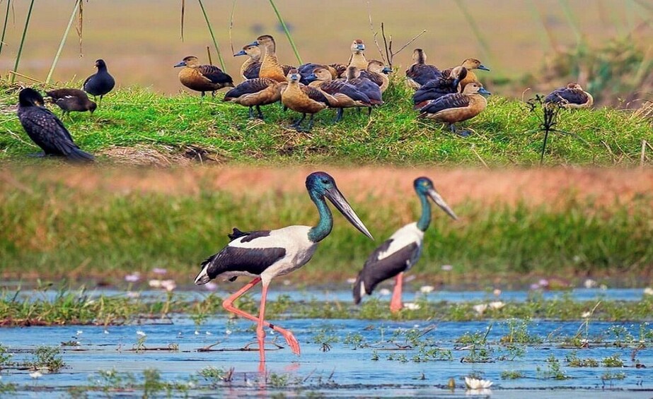 Explore Bharatpur & Fatehpur Sikri With Agra 2 Days Trip 1