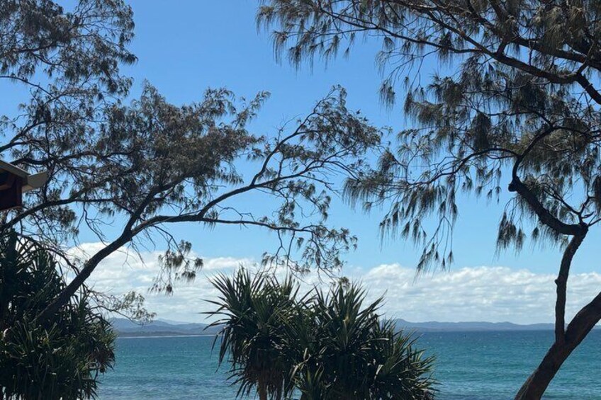Byron Bay Private Bike Tour 4