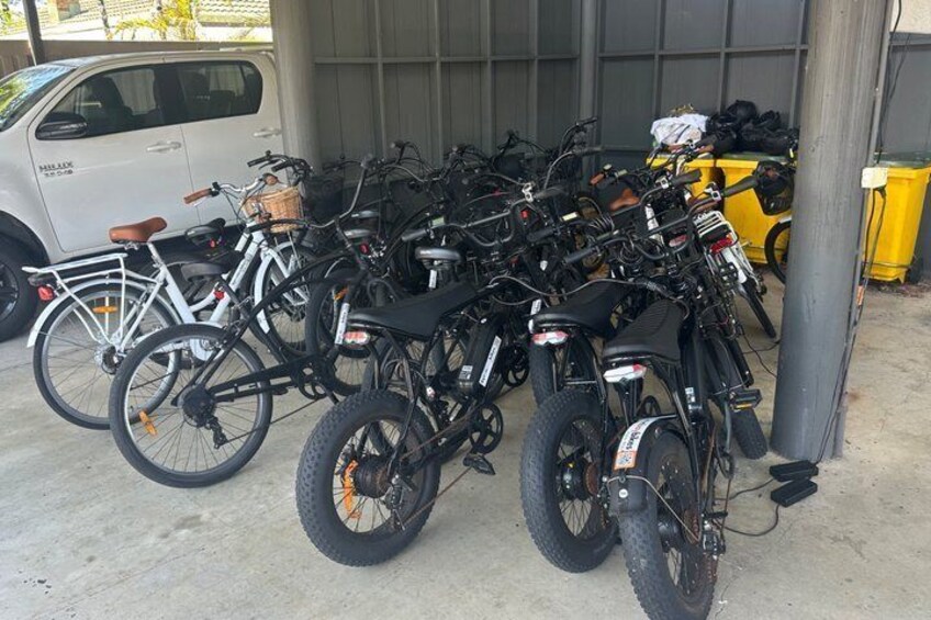 Byron Bay Private Bike Tour 3