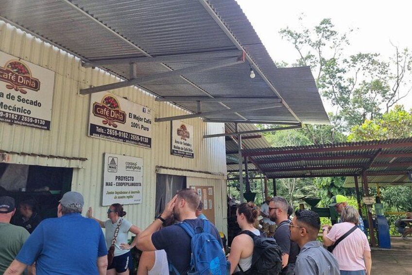 Coffe Tour and Cultural Experience on the Blue zone of Nicoya 5