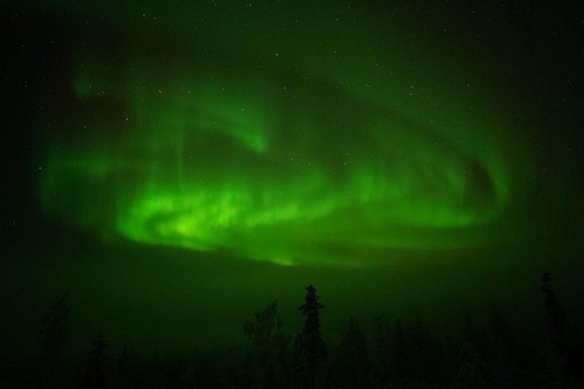 The Northern Lights over a forested landscape. 3