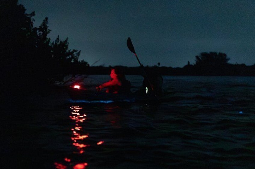 Kayak Tours and Rentals. Dolphins, Manatees, and Bioluminescence! 4