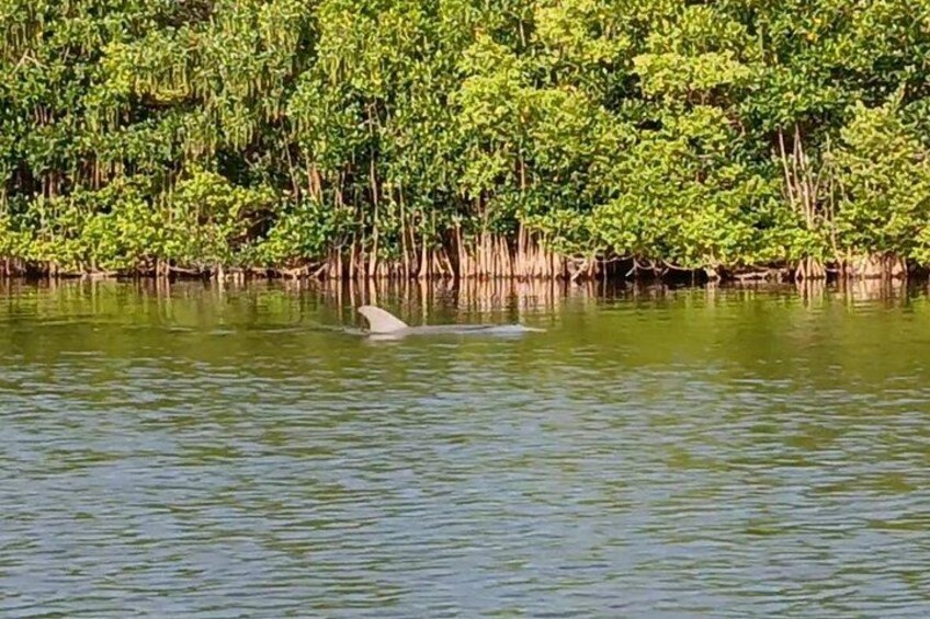 Just cruising by our kayak tour 3
