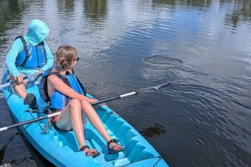 Kayak Tours and Rentals. Dolphins, Manatees, and Bioluminescence! 2