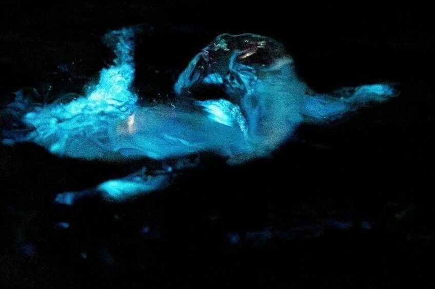 A person submerged in water with blue lighting. 1