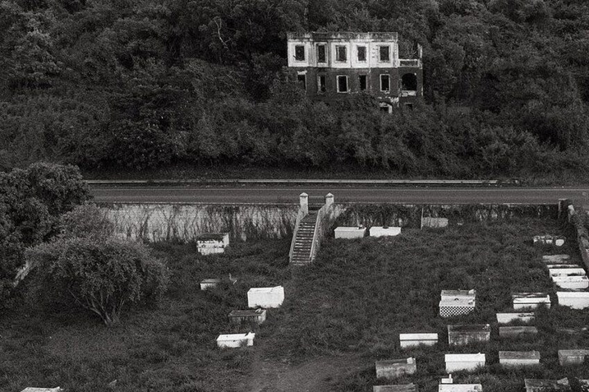 A cemetery with headstones, a dilapidated building, and a road in the background. 3