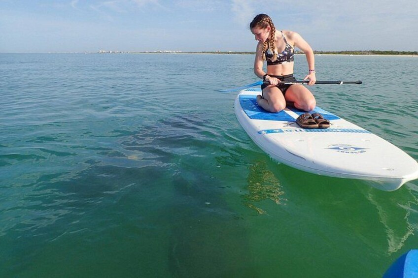 Iemand staat op een paddleboard op een rustige zee, onder een heldere lucht. 1