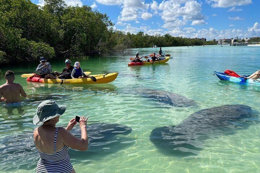 People kayaking on clear water, with turtles visible in the foreground. 5