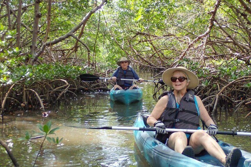Two people kayaking through a mangrove forest. 3