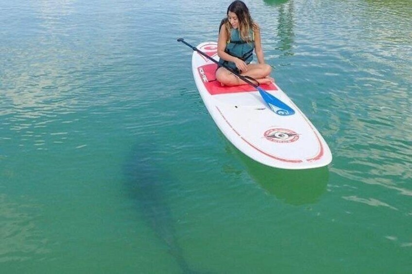 A person sitting on a paddleboard in calm water. 2