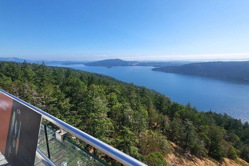 Malahat Skywalk Views 5