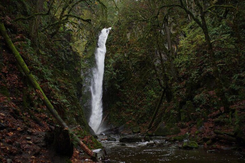 Goldstream Niagara Fall 3