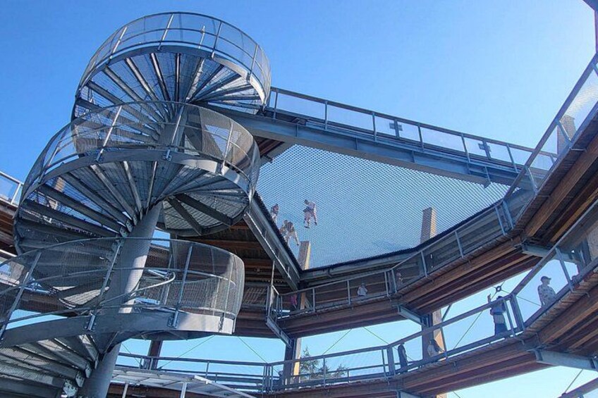 Malahat Skywalk Net and Slide 4