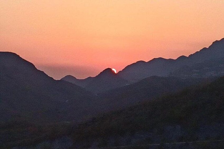 Small Group Sunrise Safari Adventure Half Day Tour 3