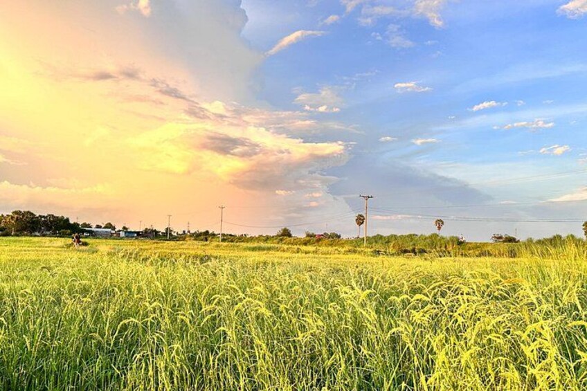 You will view so many rice fields during this journey. 2