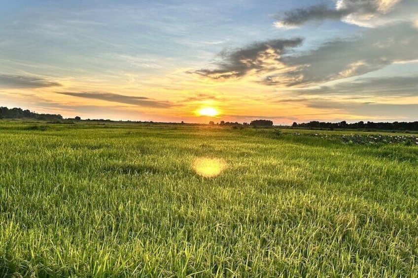 You will view so many rice fields during this journey. This is sunset at the rice fields.  5