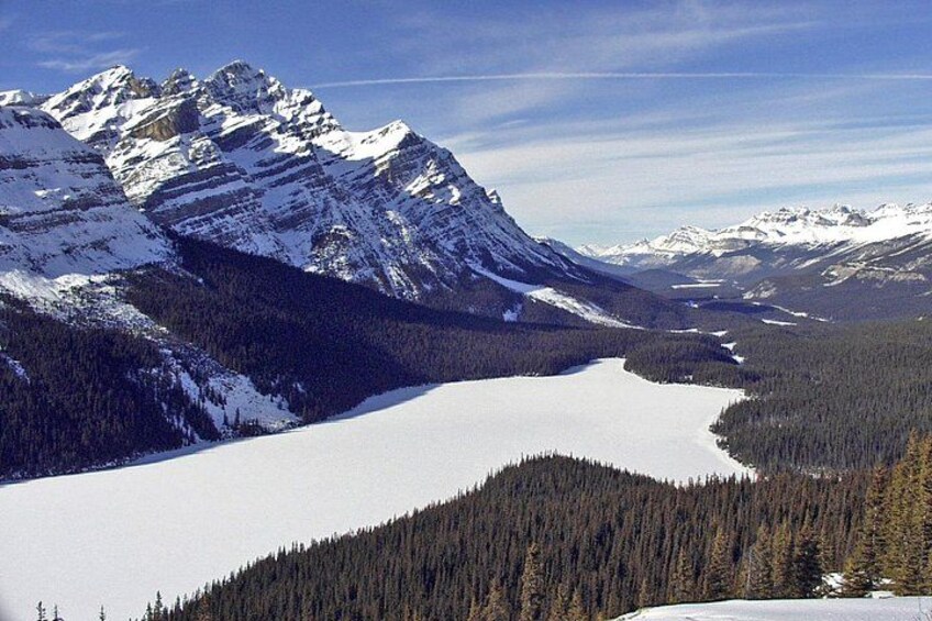 Sunwapta, Athabasca Falls, Peyto, Bow Lake, Icefield Parkway 3