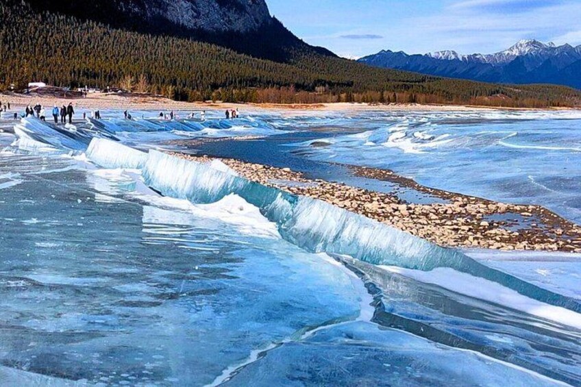 Sunwapta, Athabasca Falls, Peyto, Bow Lake, Icefield Parkway 5