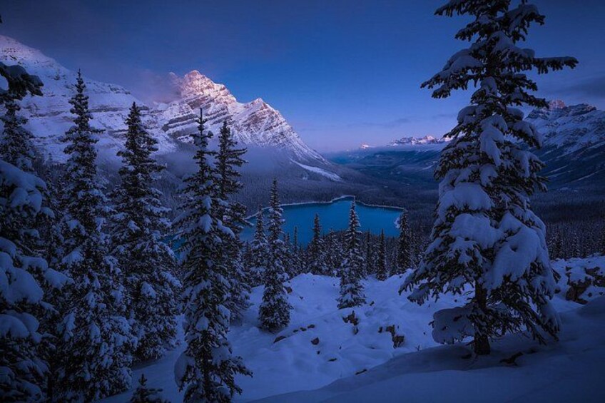 Sunwapta, Athabasca Falls, Peyto, Bow Lake, Icefield Parkway 2