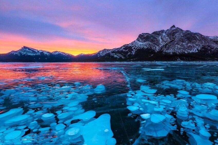 Sunwapta, Athabasca Falls, Peyto, Bow Lake, Icefield Parkway 2