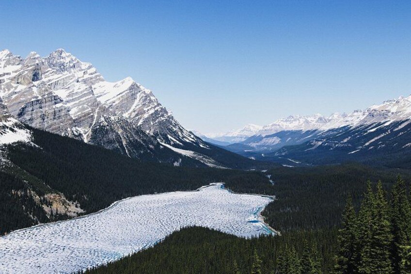 Sunwapta, Athabasca Falls, Peyto, Bow Lake, Icefield Parkway 2