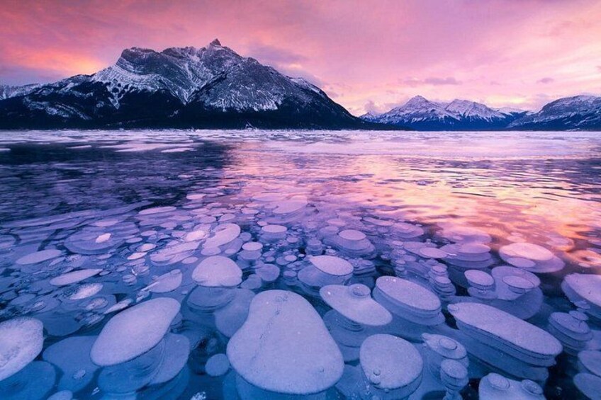 Sunwapta, Athabasca Falls, Peyto, Bow Lake, Icefield Parkway 4