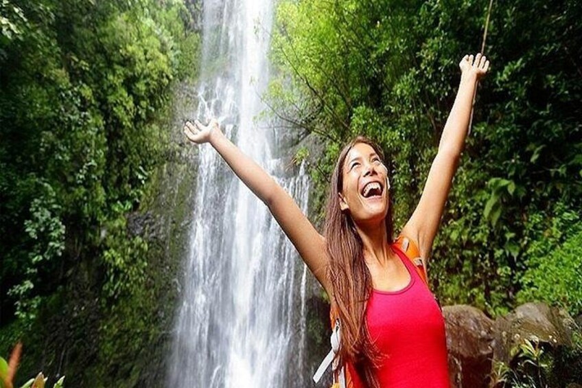 Una cascada en un área boscosa con una persona de pie frente a ella. 2