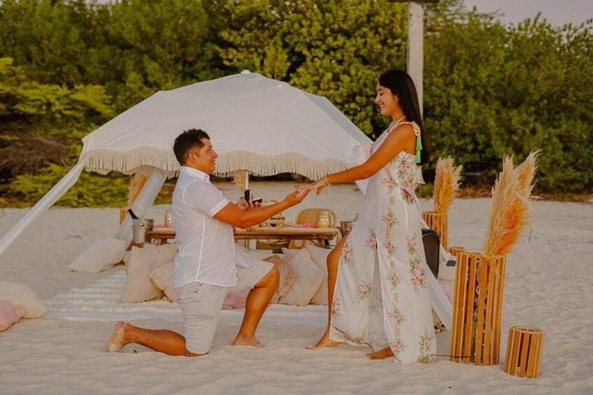 A beach setting with a tent, a table, and pampas grass decorations. 3