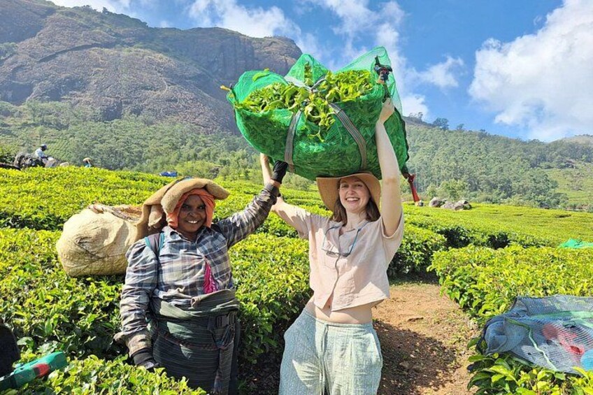 Two people carrying large bags of green tea leaves in a hilly tea plantation. 1