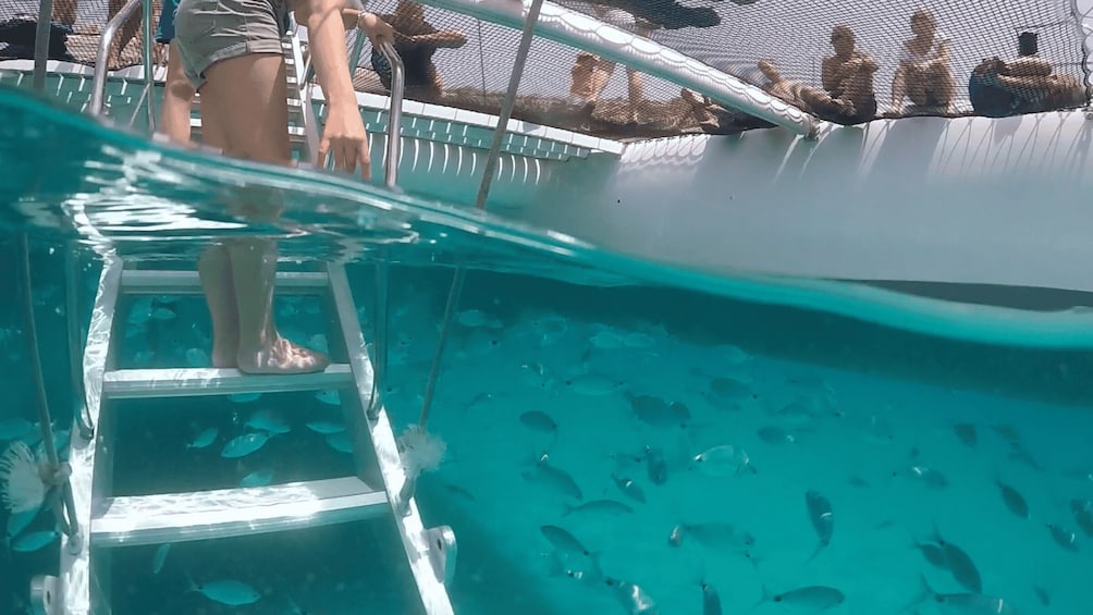 A person climbing a ladder into a pool filled with fish. 2