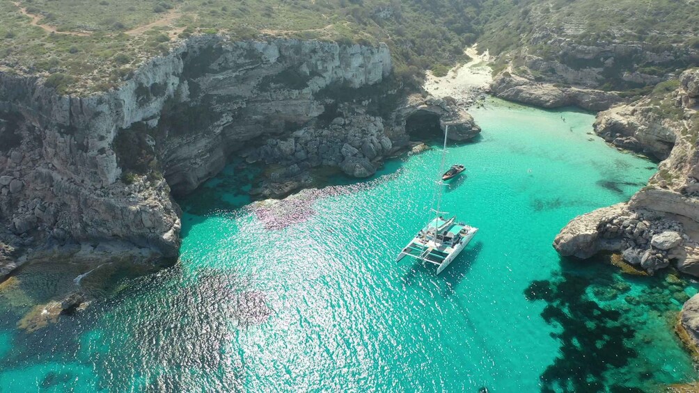 Picture 8 for Activity From Colònia de San Jordi : Catamaran Cruise to Es Trenc 5