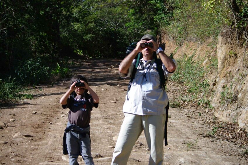 Picture 5 for Activity Curicancha Reserve Birdwatching Tour Monteverde 4