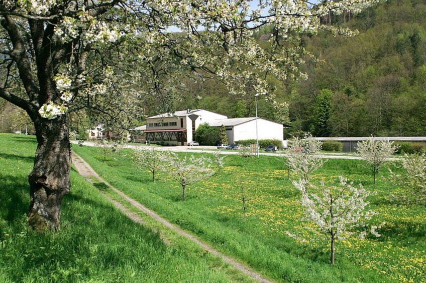 Alsatian Whiskey Initiation Workshop in Lapoutroie 2