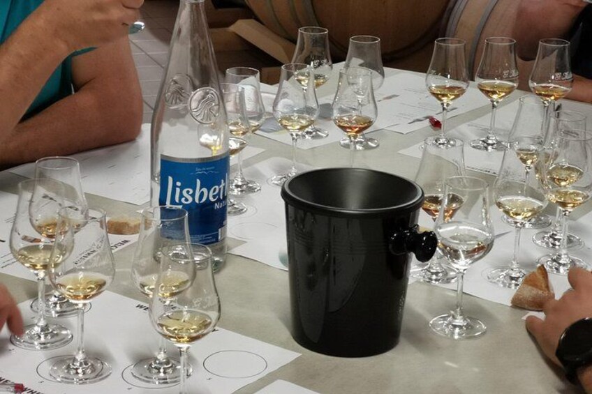 A wine tasting event with multiple wine glasses, a bottle of Lisbet wine, and a black mug on a table. 2