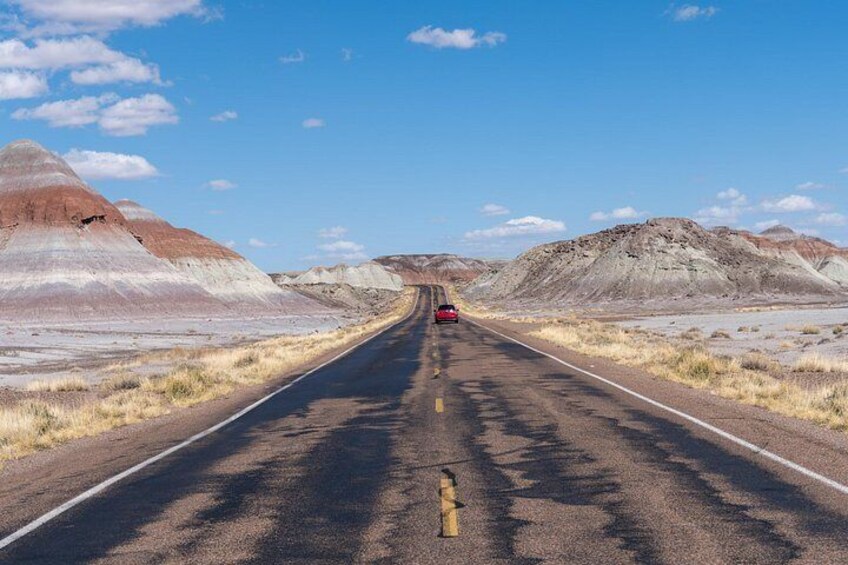 Self-Guided Audio Driving Tour in Petrified Forest National Park 2