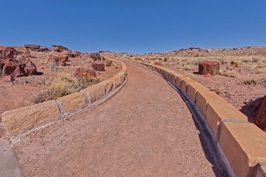 Self-Guided Audio Driving Tour in Petrified Forest National Park 4