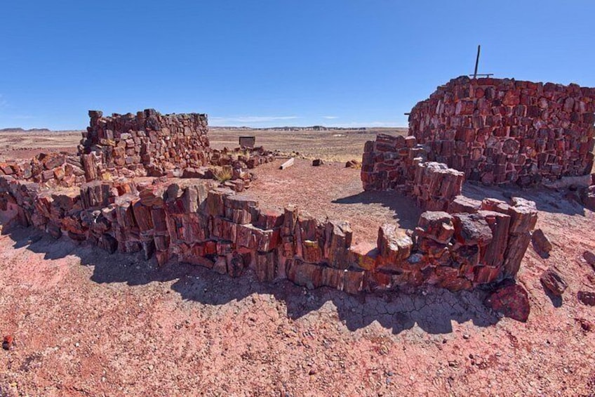 Self-Guided Audio Driving Tour in Petrified Forest National Park 5
