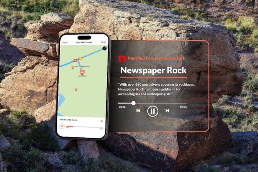 Un teléfono inteligente mostrando un mapa con una ubicación marcada como 'Newspaper Rock' en el Parque Nacional Bosque Petrificado. 5
