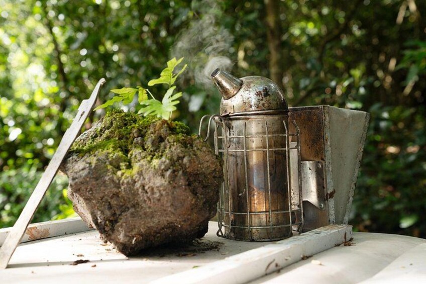 A metal lantern and a moss-covered rock. 3