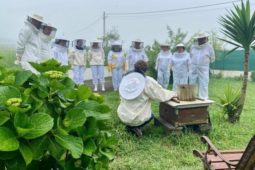 Beekeepers in protective gear around a beehive in a grassy area. 2