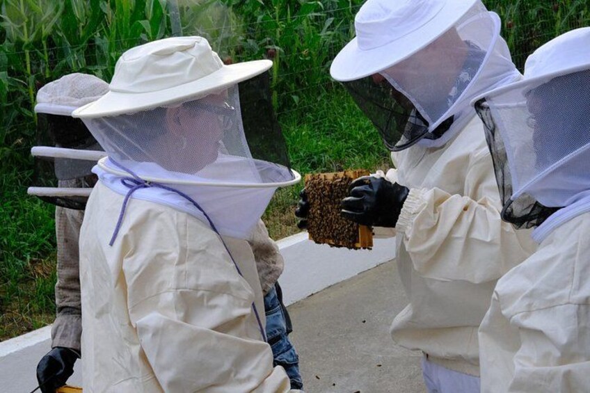 Two individuals in protective bee suits and veils handling a beehive. 2