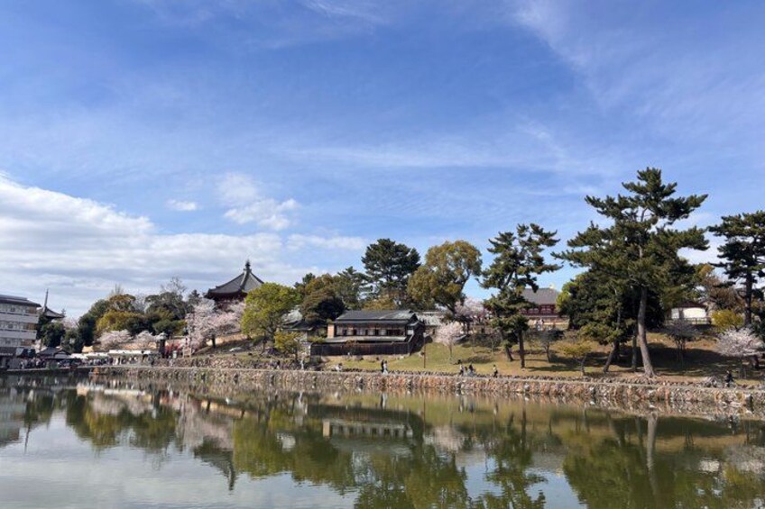 Nara Sake Tour: Birthplace of Sake, 2 Breweries & Tastings 4