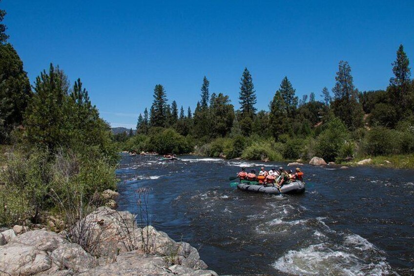 South Fork American River Whitewater Rafting Trip (Class 3+) 3