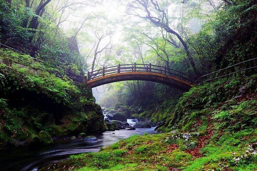 Day Tour to Miyazaki Takachiho Gorge & Shrine depart from Fukuoka 1